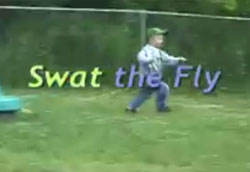 SwatTheFly